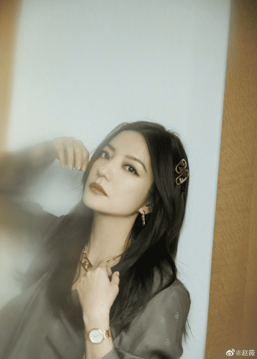 The shocking causes that made Zhao Wei's career suddenly ...